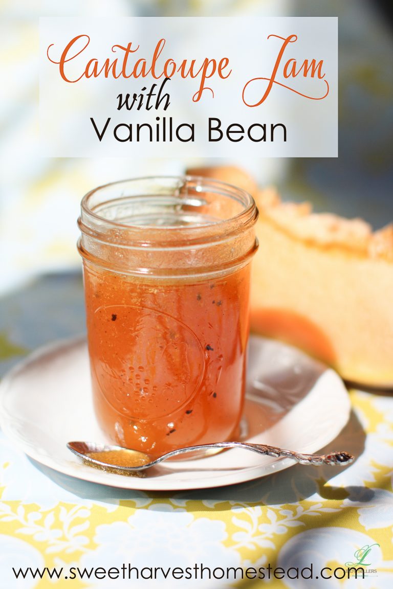 Vanilla Bean Cantaloupe Jam