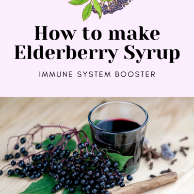 How to make Elderberry Syrup